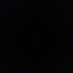 Meet your Posher, Tommieon